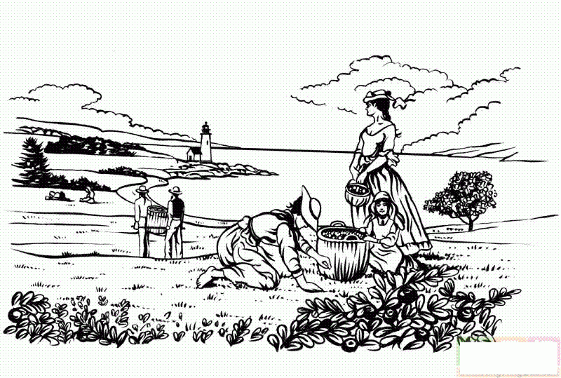 在田里劳作的女孩们简笔画