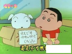 蜡笔小新小白简笔画的画法步骤