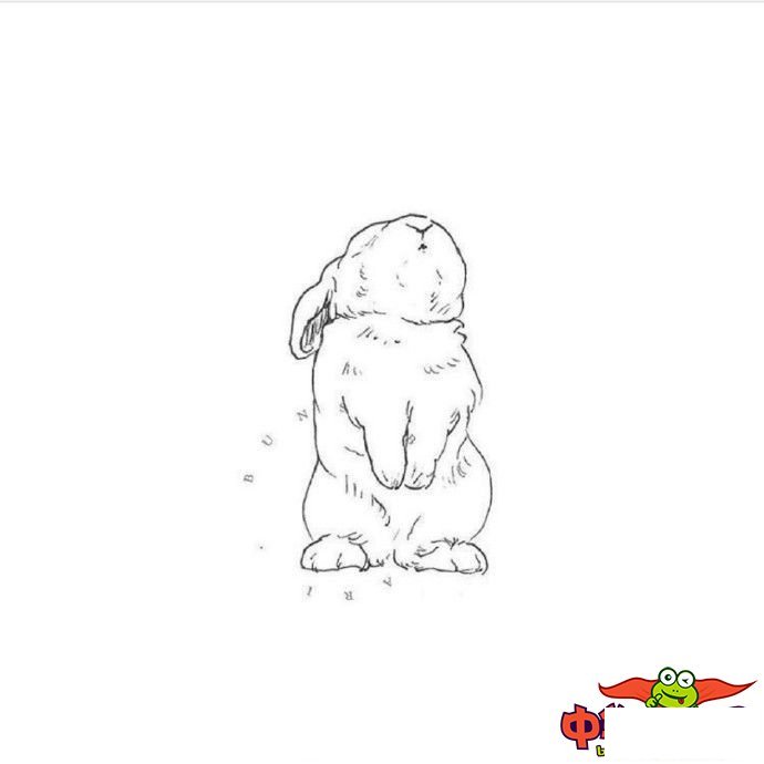 小白兔简笔画图片大全可爱，卡通可爱小白兔简笔画