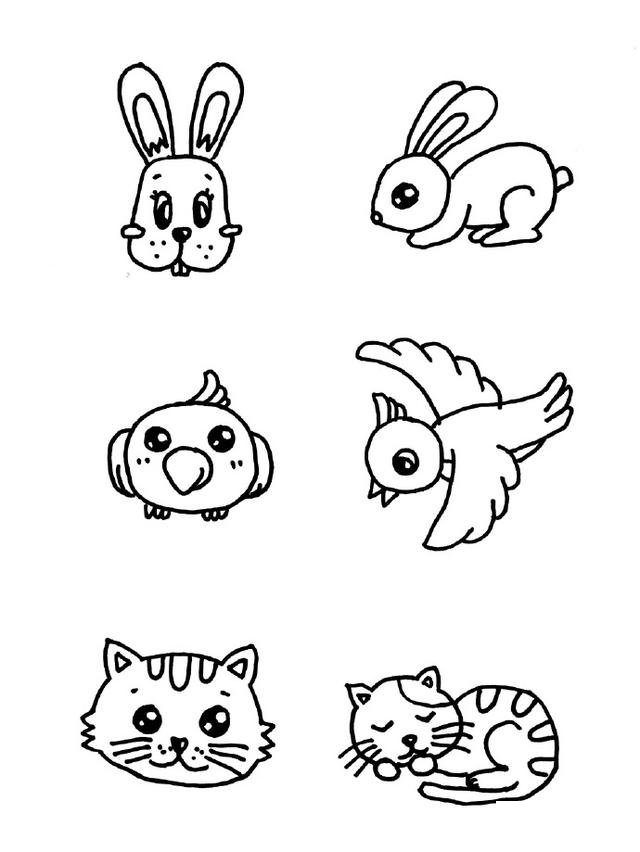 兔子小鸟小猫咪简笔画