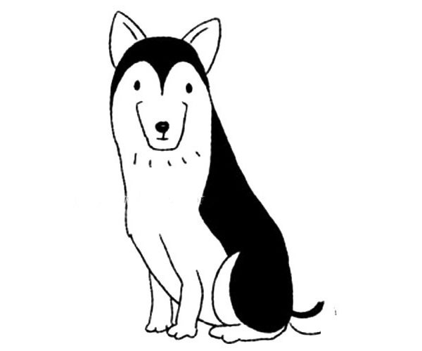 爱斯基摩犬/雪橇犬简笔画步骤图解教程