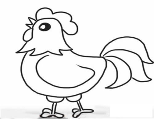 公鸡简笔画图片