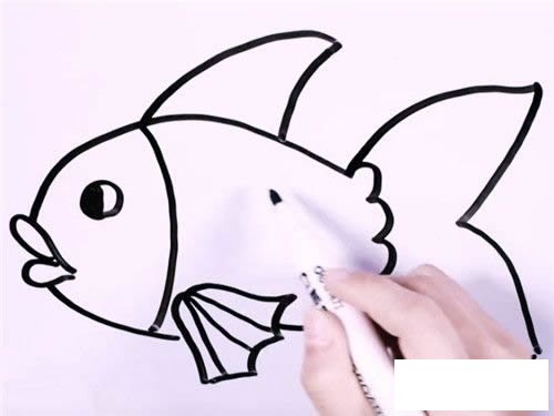金鱼图片简笔画