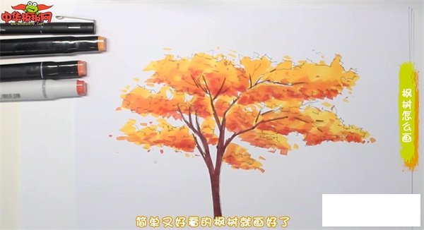 枫树怎么画