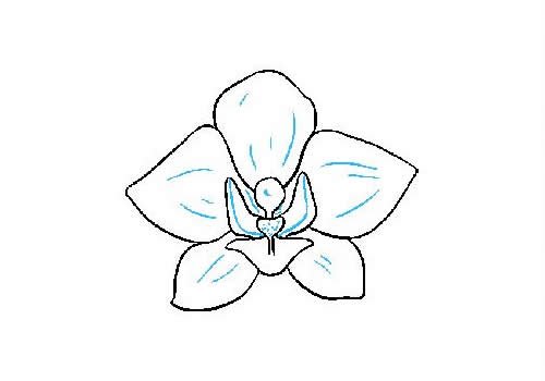兰花简笔画的画法步骤图片