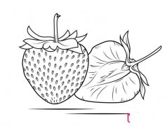 漂亮的水果简笔画图片，草莓简笔画