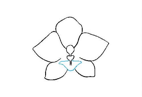 兰花简笔画的画法步骤图片