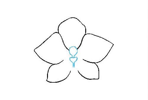 兰花简笔画的画法步骤图片