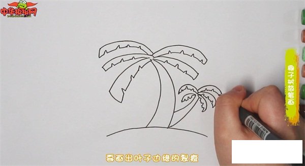 椰子树简笔画