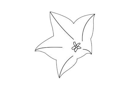 桔梗花简笔画图片