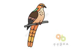 一步一步教画鹃鸠简笔画