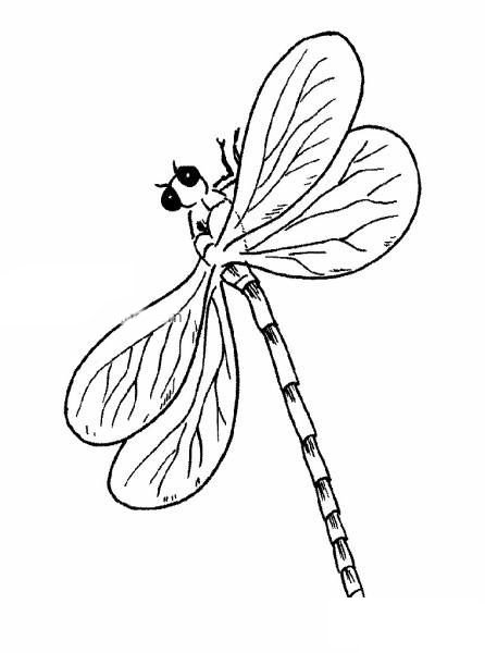 卡通蜻蜓简笔画