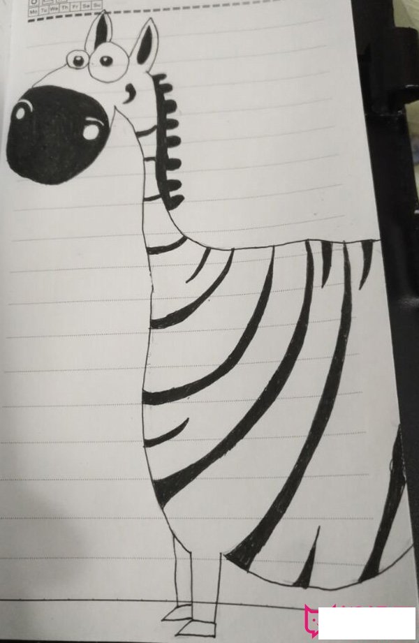 简单的动物简笔画图片，斑马简笔画
