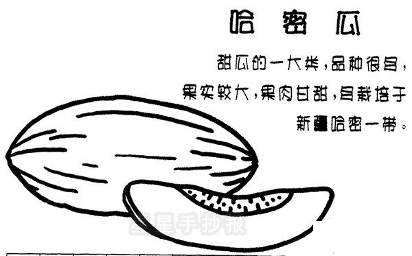 哈密瓜简笔画