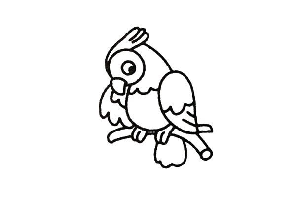 鹦鹉简笔画