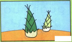 竹笋简笔画简单画法