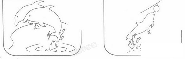 海豚表演简笔画