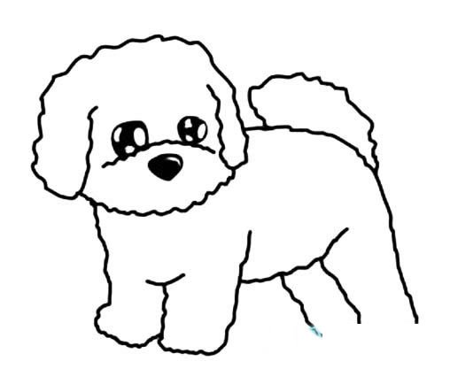 比熊犬简笔画图片