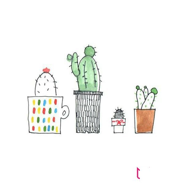 小清新的植物简笔画图片，小盆栽简笔画