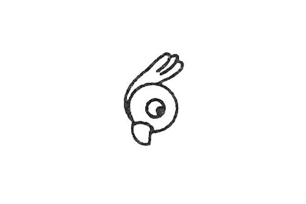 鹦鹉简笔画