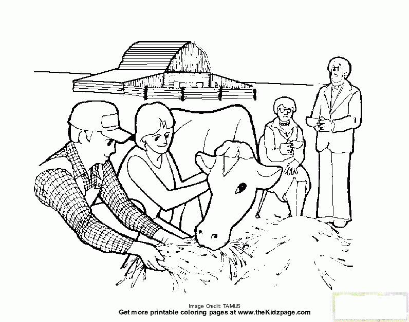 一对夫妇在牧场上喂牛吃草简笔画