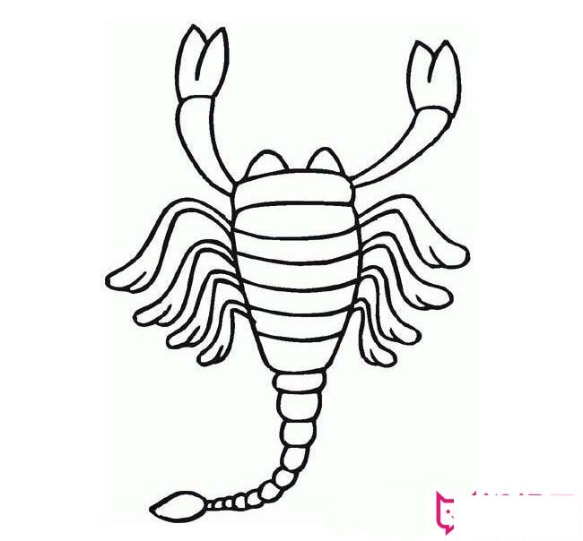 蝎子简笔画图片大全，简单的蝎子画法