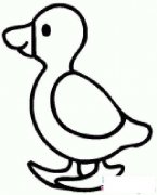 儿童小鸭子简笔画