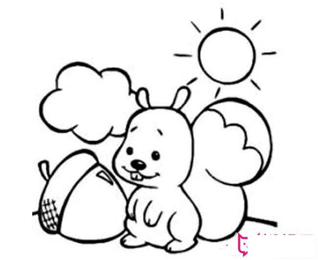 小动物简笔画大全，可爱的小松鼠简笔画