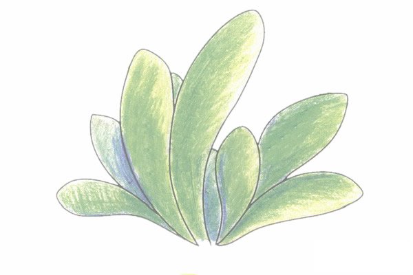 小草简笔画图片