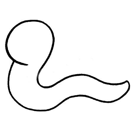 蚯蚓简笔画