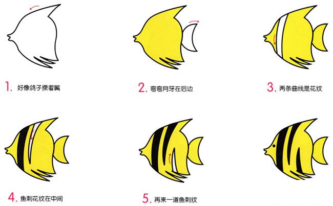 热带鱼动物简笔画步骤图片大全