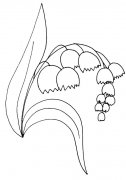 钟花风铃草植物花简笔画步骤图片大全