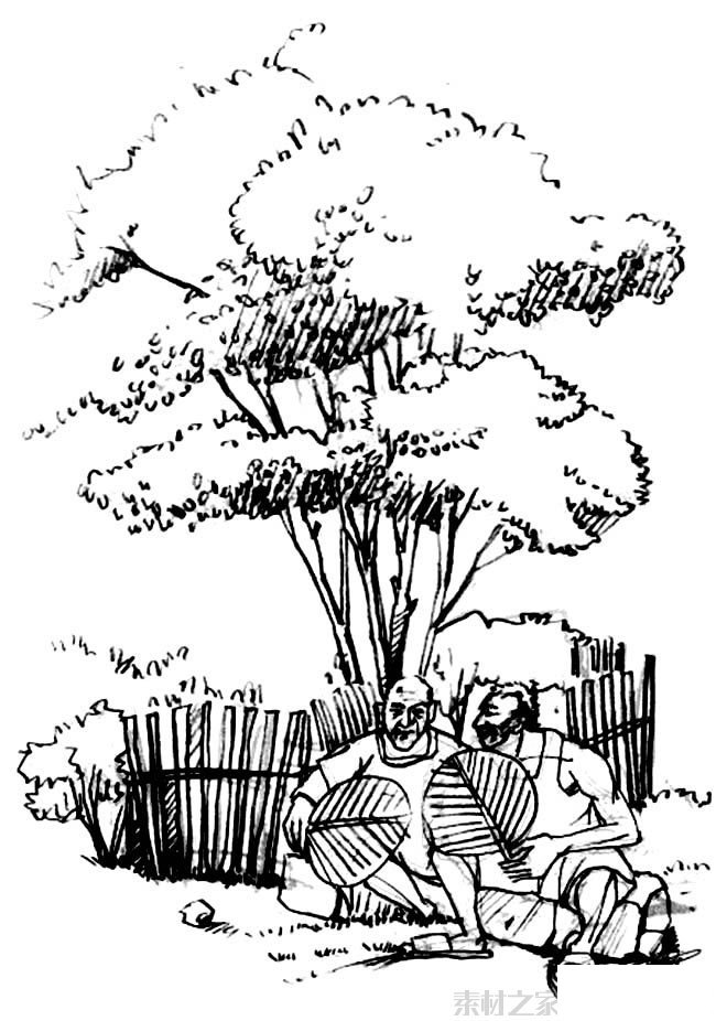 大树下乘凉的人们简笔画图片