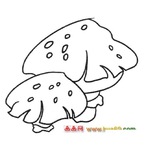 植物简笔画：洋蘑菇1