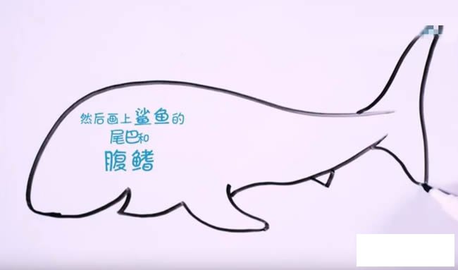 凶狠鲨鱼简笔画图解