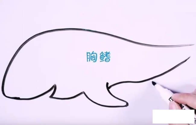 凶狠鲨鱼简笔画图解