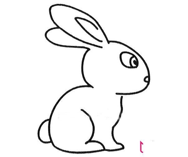 兔子简笔画图片大全，超可爱的小兔子（6张）