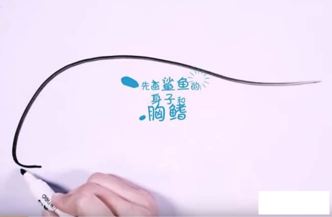 凶狠鲨鱼简笔画图解