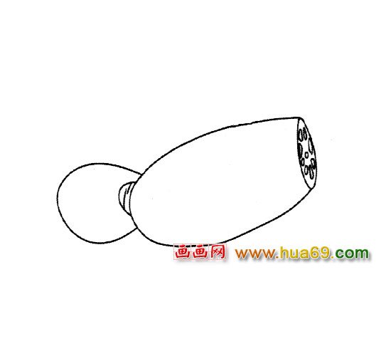 蔬菜简笔画（莲藕）4