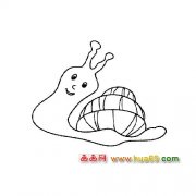 动物简笔画：高兴的小蜗牛