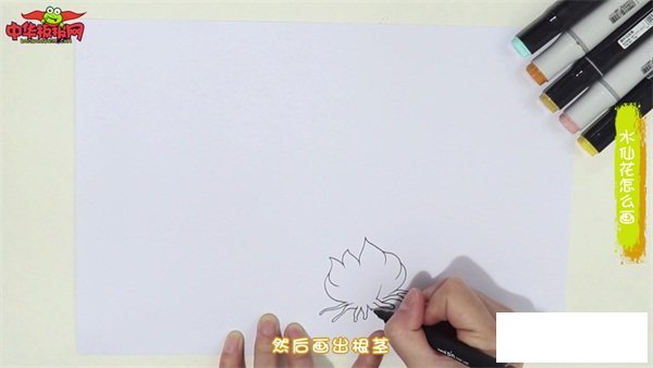 水仙花怎么画