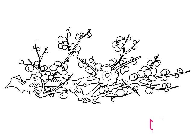 漂亮的简笔画花图片，满树梅花