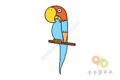 一步一步教画鹦鹉