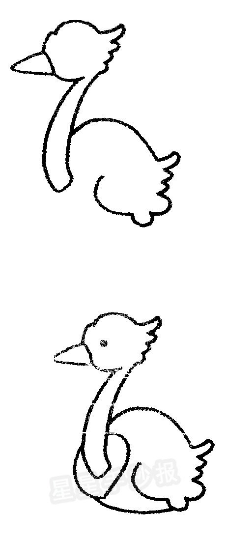 鸵鸟简笔画