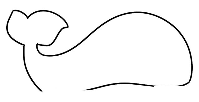 鲸鱼简笔画