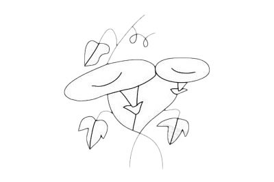 牵牛花简笔画图片大全作品五