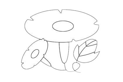 牵牛花简笔画图片大全作品四