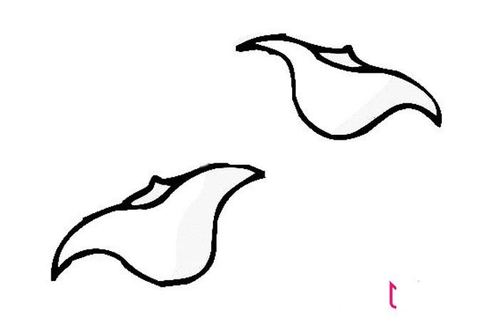 简单的菱角简笔画