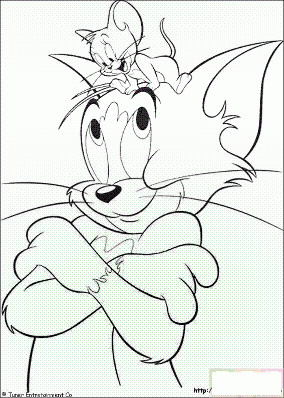 猫头上的老鼠简笔画