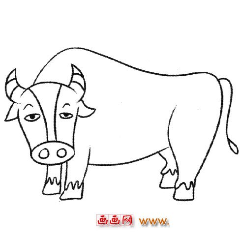 老实的黄牛（儿童简笔画）